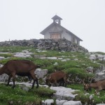 Kapelle auf der Glattalp