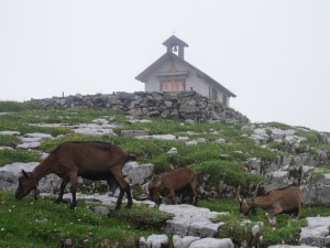 Kapelle auf der Glattalp